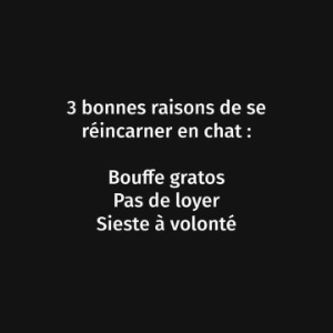 Malloute