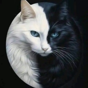 Alpha
