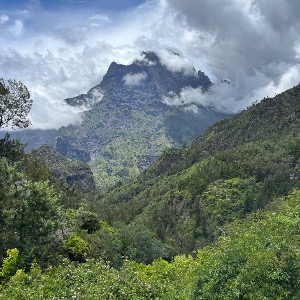 Parrain des parrains 